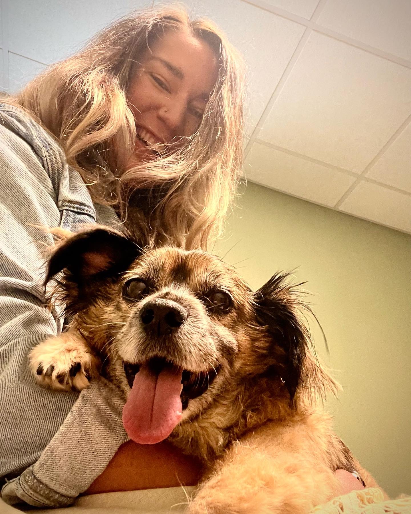 Smiling dog and person